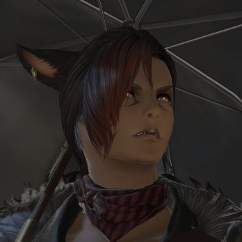 J'zhett 'Steak' Tia // steak umms @ goblin // #FFXIV // 7.01 Spoilers // 🔞🔞 // wolgraha containment zone // Bi Cat Guy, will bite as a warning