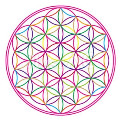 420pokapoka's profile picture. 🪴忖度なくレビューして情報共有いたします🪴