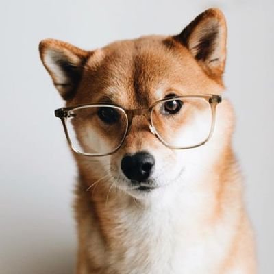 Mr.Dawgさんのプロフィール画像
