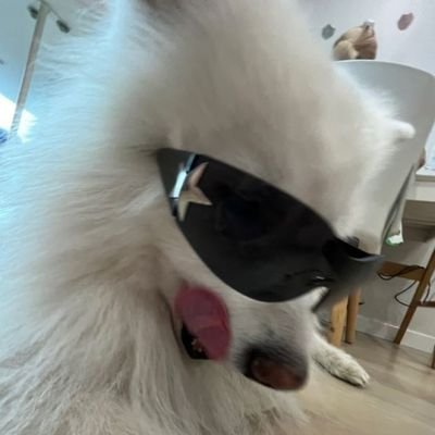 NathalieRa50954's profile picture. Un alma libre☘️