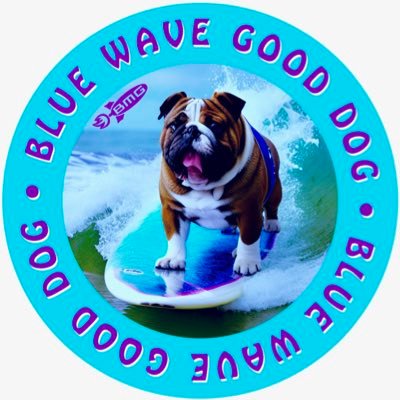 BlueCrew🌊🌊🌊 💙s Dogs 💙s My earth🌎 💙s Equality 💙s Choice 🚫Fascism 🚫MAGA 🚫Trumpsucking🤡s