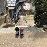🐬hicky(ﾋｯｷｰ)🎙️🎚️ド🐿️ (@hisatommy) Twitter profile photo