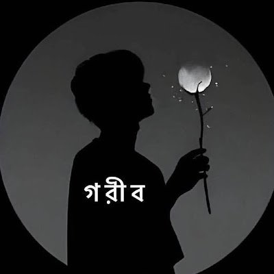 hasibul7963's profile picture. 