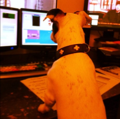 SmnKaplan's profile picture. 