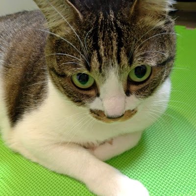 wnyujng248534's profile picture.
