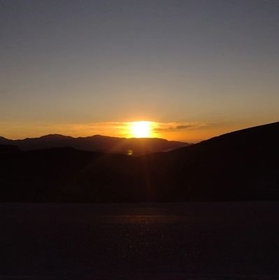 iam_ar1an4's profile picture. 🐈🤍