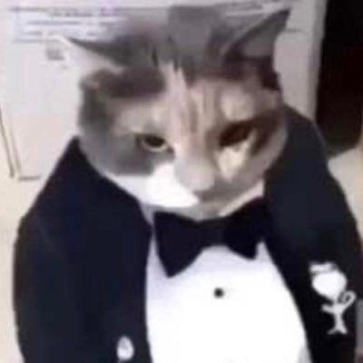 RandomUser590's profile picture. chillin (don’t mind me I just observe)