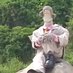 Cobblestone1890⛏️ (@cobblestone1890) Twitter profile photo Cobblestone1890⛏️ (@cobblestone1890) Twitter profile photo