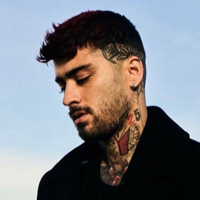 inZAYN Profile Picture