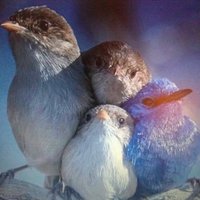 Patricia Alban (@palbanstanley) 's Twitter Profile Photo Patricia Alban (@palbanstanley) 's Twitter Profile Photo