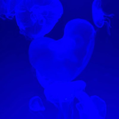 kokku07's profile picture. おしっこを我慢してる姿、声が大好きです！ 限界放尿、限界おもらし派！大や🤮は苦手です 🚹ですご注意を