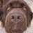 rshushan's profile image