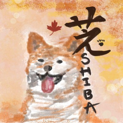 shiba_san001 Profile Picture