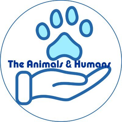 The relationship between animals and humans is multifaceted and spans a wide spectrum, ranging from companionship and mutual benefit to exploitation...