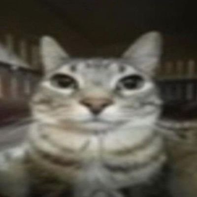 minau_min's profile picture. 21 /
idrk what to put here
i would post (eventually)