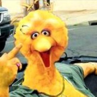Big Bird (@bigbird_76) 's Twitter Profile