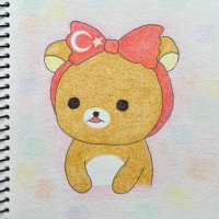 トルコリラっくま🐻🇹🇷(@trykumaa) 's Twitter Profile Photo