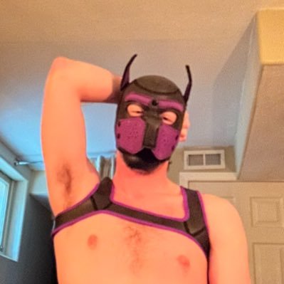 18+ only 🏳️‍🌈 24yo, 6’2”, single, dumb dog, avid pit-sniffer, certified good boy - DMs are open so feel free to say hi! telegram: subeuphoria