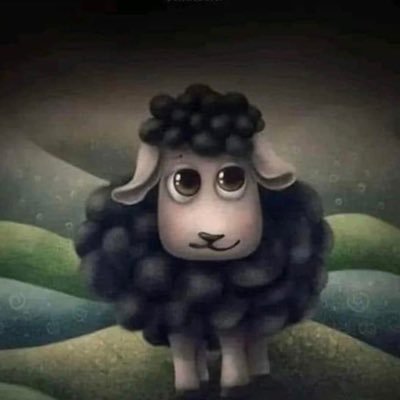 Trinka2020's profile picture. 