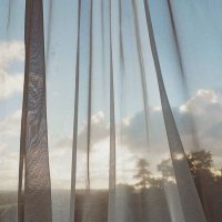 شوق الجهني (@shouq_mj1) 's Twitter Profile