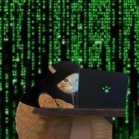 t0muxx (@t0muxx) 's Twitter Profile