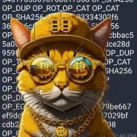 OP CAT - Satoshis Cat(@MaxiDogelore) 's Twitter Profile Photo