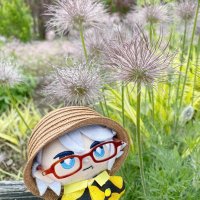 うずのしゅげ (@uzunoshuge224) 's Twitter Profile Photo うずのしゅげ (@uzunoshuge224) 's Twitter Profile Photo