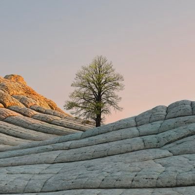 الحياة بسيطة ، لاتستاهل منَّا كل هذا العناء ، عش واستمتع ولاتؤذي أحداً.