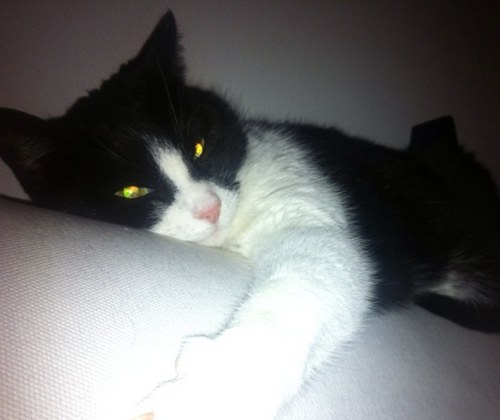 iOlympus80's profile picture. bei Deiner Mudder ..