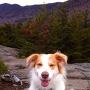 Pat Driscoll - @vt_pat - Twitter