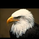 paula englebert - @PaulaEnglebert1 - Twitter