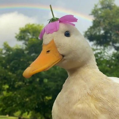 valuriさんのプロフィール画像