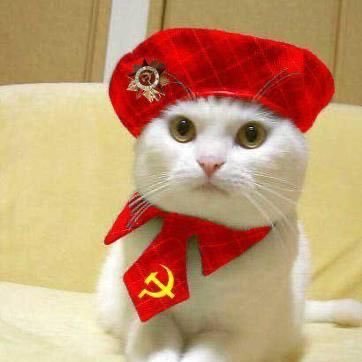 Al gulag
All Cats Are Beautiful