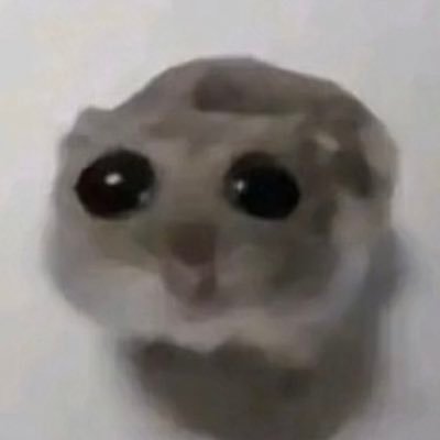 Alexincognito2's profile picture. 20↑ 🤫🤫 They / She / He