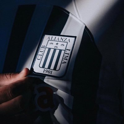 Alianza Lima mi locura y pasión ~Kanagawa Grone Corazón ~Hermandad Japón Blankiazvl