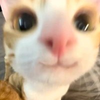 。 (@techinano) 's Twitter Profile