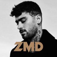 Zayn Malik Daily(@zmdaily) 's Twitter Profile Photo