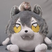 🏰じーこ🦇 (@0426wanko) 's Twitter Profile