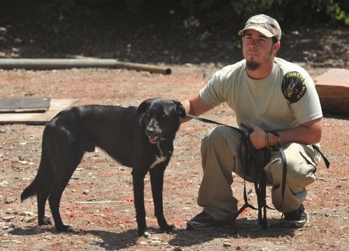 Snakeworx was created by Anthony Harper and Joel Almquist in 2011. Snakeworx specializes in rattlesnake avoidance training for your beloved pets.