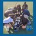 Lion Sports Med (@lsocat) Twitter profile photo Lion Sports Med (@lsocat) Twitter profile photo