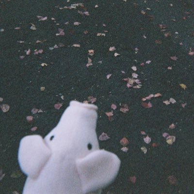 森田(ます)さんのプロフィール画像