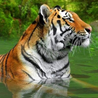 Bama913918's profile picture. Just a krazzy kracker from the backwoods. Fishin, hot rods, fishin, fishin and more fishin an workin hard.....that's this country boys life!