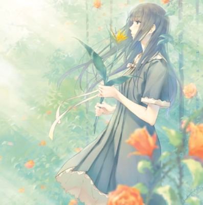 vanderboom33627's profile picture. 