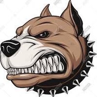 Bigdoghorseracingtips(@Bigdoghorsetips) 's Twitter Profile Photo