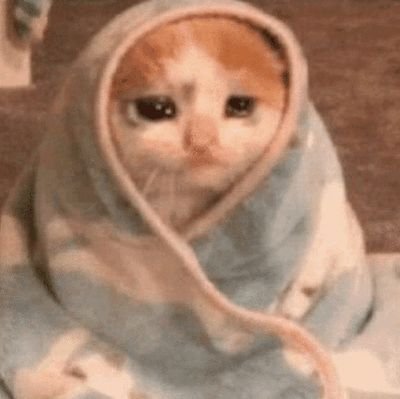 @of_cats_n_satan 's (more) unhinged thoughts