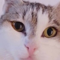 SM (@4711ms0815) 's Twitter Profile