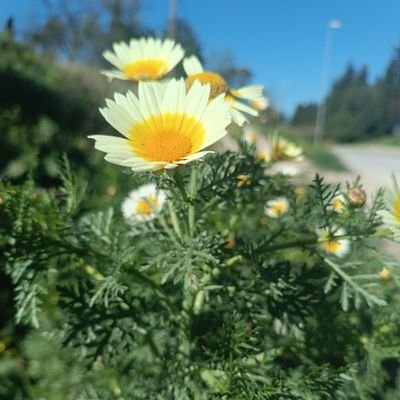 youdontknowmeRR's profile picture. 