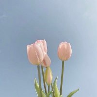 min (@mi__1_tk_1711) 's Twitter Profile Photo min (@mi__1_tk_1711) 's Twitter Profile Photo