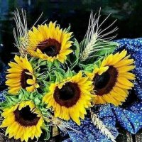 lili🌞🌻 (@machupicchu22) 's Twitter Profile Photo lili🌞🌻 (@machupicchu22) 's Twitter Profile Photo