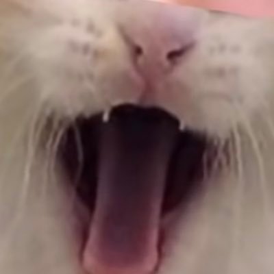 Parutiopa's profile picture. respect▶︎@kyanmeiku_ope　DPI800 0.285